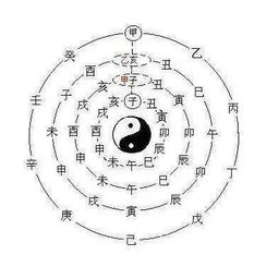 中华易卜堂八字测算准确度如何？真的可靠吗？