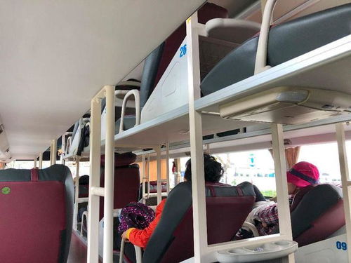 当地美食 —— 羊肉串、 手抓肉与奇怪奶茶