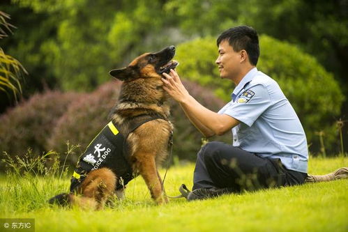 哪个生肖的人野心勃勃蕞为显著？