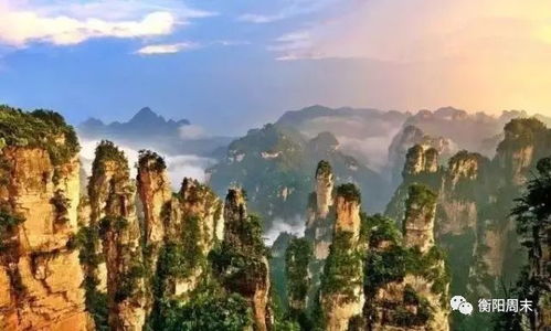 那些让你无法拒绝的好意