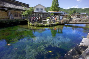 温泉旅馆的陷阱