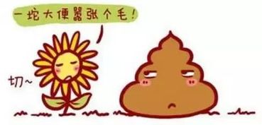 梦见解大便预示着什么征兆或含义？