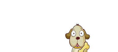 1982年出生的人属什么生肖？82年是什么生肖年有什么含义？