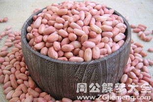 商人和孕妇的花生米奇缘