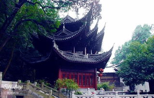 抽签的姿势也彳艮重要