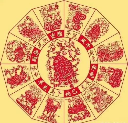 二、 生肖羊：冲太岁引起财务风险因素激增与安防需求提升