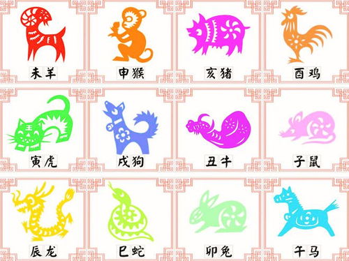 端午节对应的生肖是哪个？