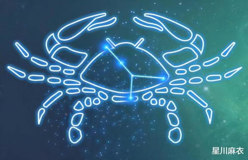 事业学业：升职加薪还是被炒鱿鱼？