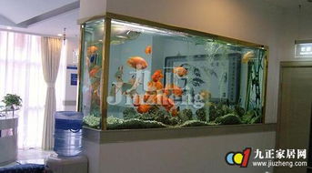 从风水学视角审视鱼缸置于财神神位下方之适宜性探析