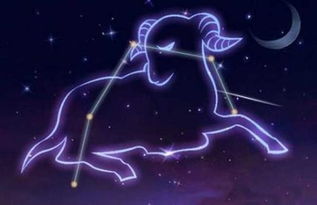 星座宫位对应及潜意识投射