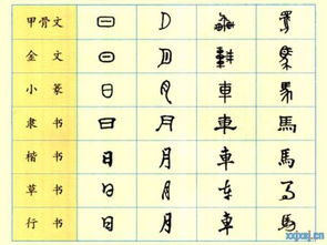 2. 字义解构：挖掘隐藏的含义