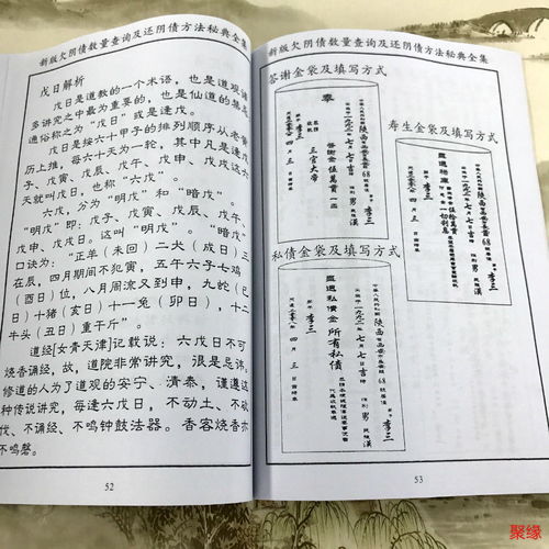 寿生之本源：投胎愿望背后的债务逻辑