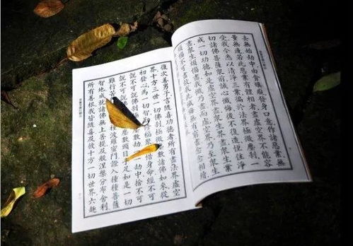 三、 实践方法：记录感受、留意思考与反思