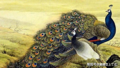 44岁的人属什么生肖？求解答！