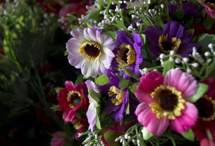 塑料花梦境=爱情危机？