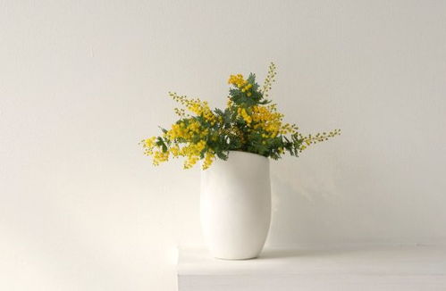 每日五行穿衣搭配分享，今日五行穿衣搭配是怎样的呢？