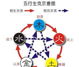 2) 为哪些说“金、水”是最佳补充？
