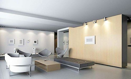 大厅里苍蝇飞舞会对家宅风水产生怎样的影响呢？