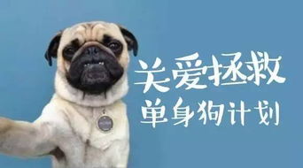 单身狗の韭菜噩梦