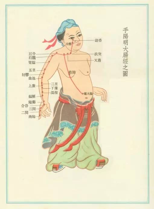 腰肾之圆厚：生命元气与男性魅力的外化