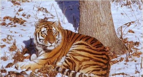 钱？多到花不完！