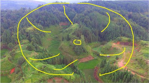 蛇作为吉祥征兆的解读