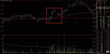 成交量与持仓结构的动态演变