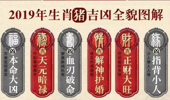 三、 典型案例分析与经验借鉴