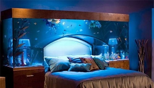 震惊！床头放玩具竟能改变2026年运势？看完我直接裂开了！