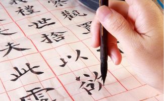 正官正财伤官同时出现在男命中，这样的命格究竟预示着怎样的未来命运走向呢？