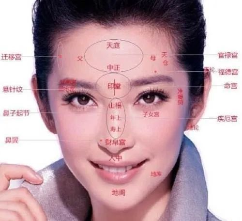 肢体形态学在经济活动中的象征意义