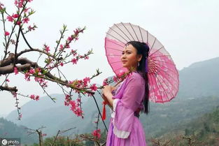 八字命犯桃花的人运势如何，桃花运势对命理有影响吗？