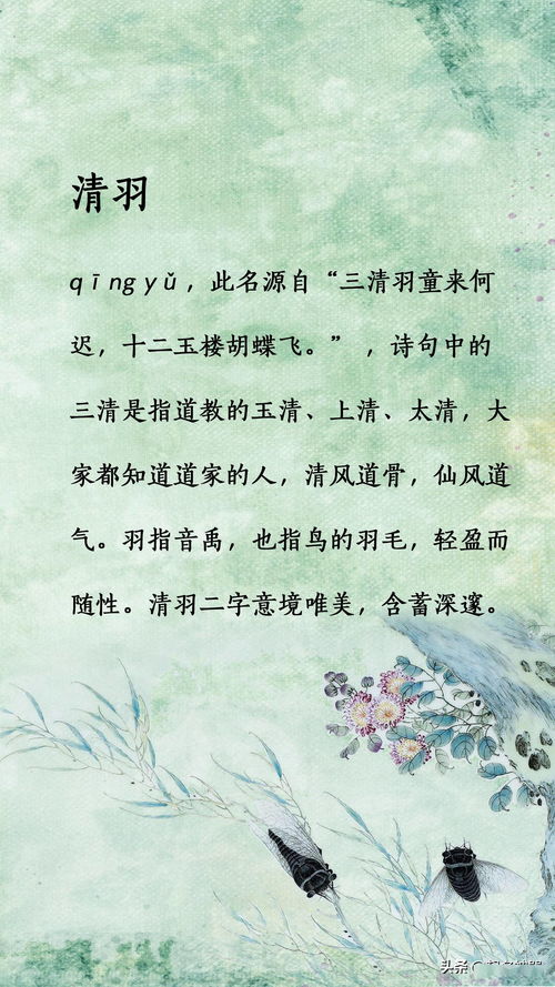 从古诗词中汲取灵感