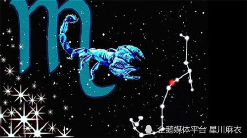 爱情与人际关系解析