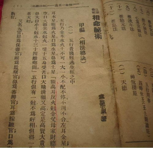 人鉴命理存验实例鉴赏：一种基于传统方式文化底蕴视角下的鉴赏方法