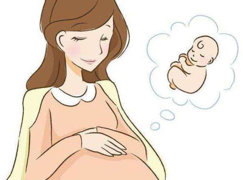 孕期的甜蜜时光：陕西师范大学的回忆