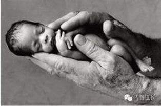 二、  婚姻情感维度的深度阻滞