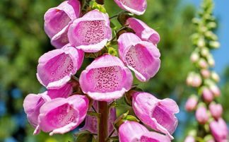 o型血水瓶座女生性格特点有哪些？