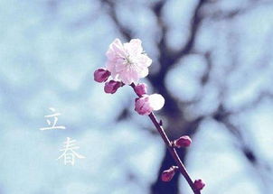 初四出门的日子是否为吉日？