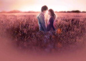 生肖性格与情感匹配的深度剖析