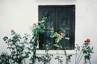 ：办公环境生态与风水学的辩证关系