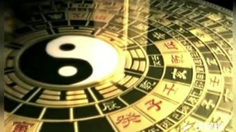 风云变色指的是哪个生肖？风云骤变三乘二打一生肖是什么生肖的意思？