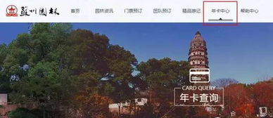 年卡的奥秘：办理与使用的实战指南