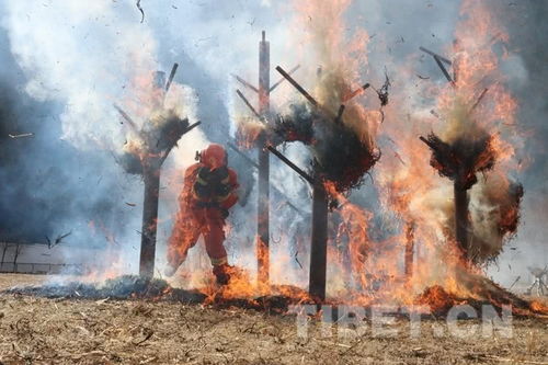 英烈的精神层面永垂不朽