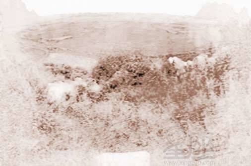 四、  科学视角的审视：土壤质量与微量元素的深层影响