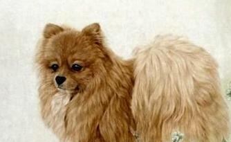 1970年属狗女性在2026年每个月的桃花运如何？