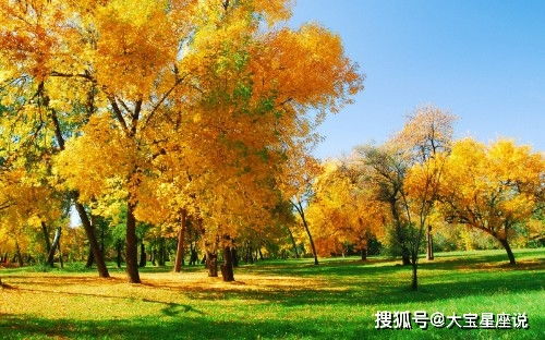 2019年属什么生肖？山中居住从秋到冬经历了哪个生肖？