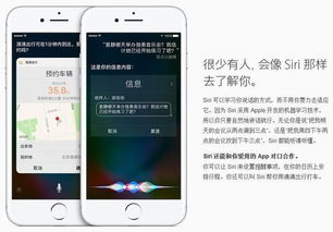 四、 市场环境定位解析及其今后演进之展望