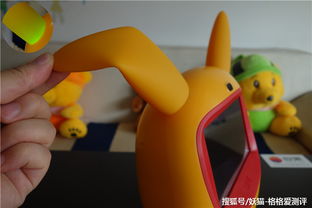 四．從風水與國學傳統看 :為何 