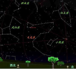 C. 阳历/夜生人差异对结果的影响